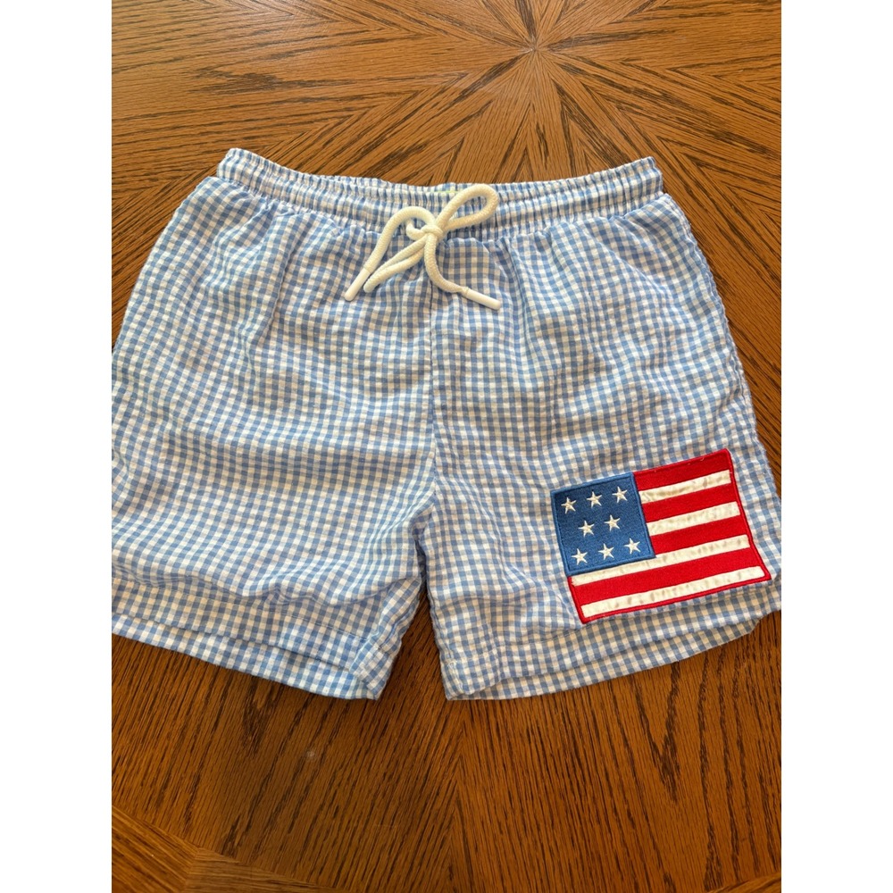 Classic Whimsy Boys Blue Gingham American Flag Swim Trunks Size 6